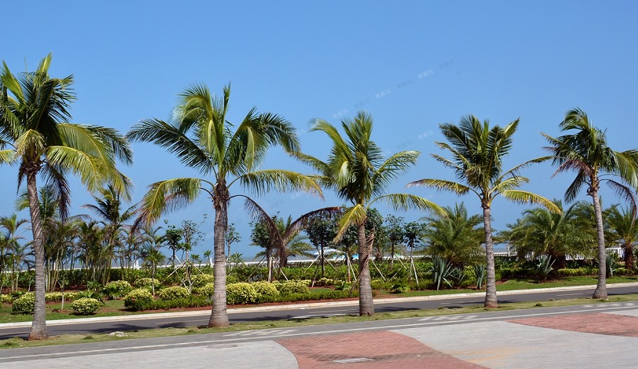 PhotoCap_001.jpg