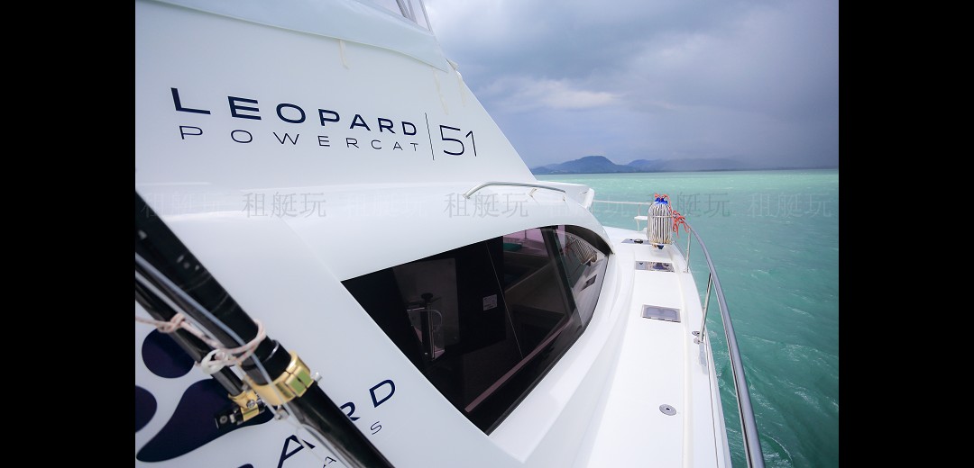 Leopard 51